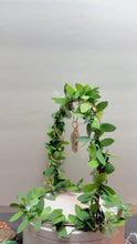 Load and play video in Gallery viewer, Polished Picasso Stone pendant wrapped in brass wire.