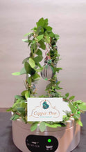 Load and play video in Gallery viewer, #224 Green Aventurine Pumpkin